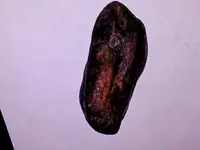 20171129_143559.webp