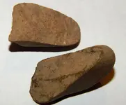 DSCN8388.webp