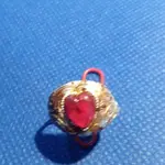 20171129_160626.webp