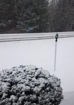 20180108_102436.webp