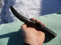 antler in hand.webp