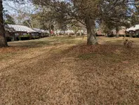 4F9D250F-3E02-4509-B888-70C6A40894BA.webp