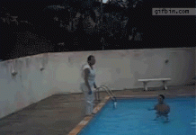IMG_2959.GIF