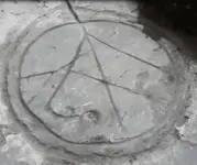 circle2.webp