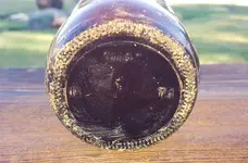 beer 1974.webp