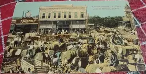 CottonseasonBeltonTx.webp CottonseasonBeltonTx.webp