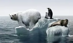 melt-617144.webp melt-617144.webp