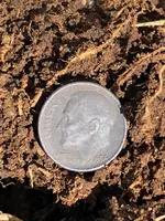 First Silver - 2.webp