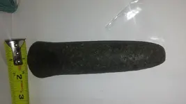 Pestle 3.webp