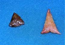 points 3.webp