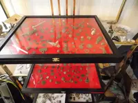 DSCN0136.webp