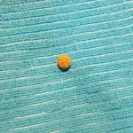 20171120_002404.webp