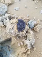 20171219_171224.webp