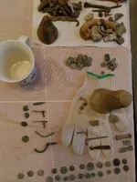 P_20171120_081736.webp