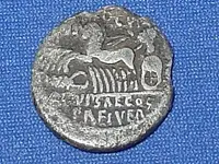 17 06 23 Den Scaurus & Hypsaeus Rev.webp