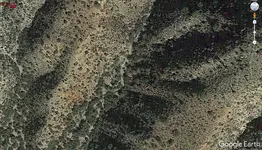 sw.webp