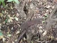 Hatchet and Buckle Hunt 006.webp Hatchet and Buckle Hunt 006.webp