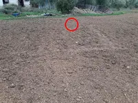 20161018_165309-kapla.webp