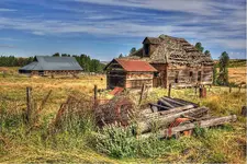 013_a_Painterly111.webp
