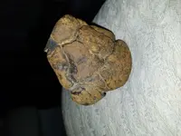 20171220_144244.webp