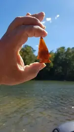 Flint River - SW GA (5).webp