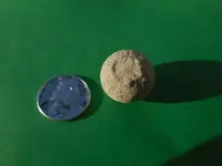 DSCN0479.webp