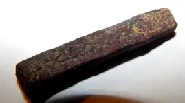 DSCN8325.webp