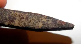 DSCN8327.webp