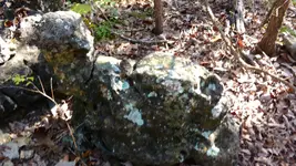 IMG_20171102_115237604-1.webp