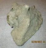 IMG_1002.webp IMG_1002.webp