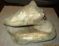 IMG_1004.webp IMG_1004.webp