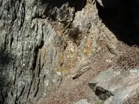 vein 3 022.webp
