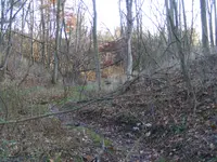 DSCF1491.webp