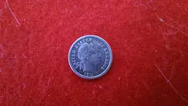 IMAG1911.webp