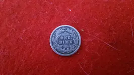 IMAG1912.webp