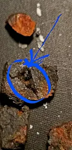 20180123_094637.webp
