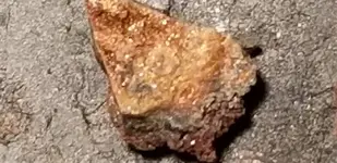 20180123_044905.webp