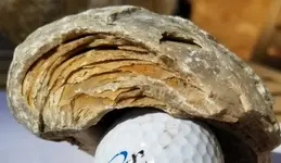 20171210_131402.webp