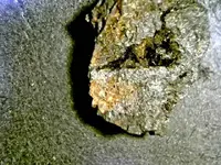 20180123_055925.webp