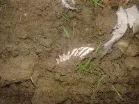 20180122_155942.webp