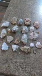 IMAG2589.webp