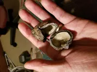 20171220_232501.webp