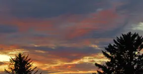 11 30 sunset 001.webp