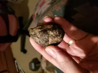 20171220_232457.webp