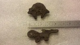 Unknown Parts Back.webp