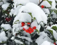 K1600_DSCN5637.webp