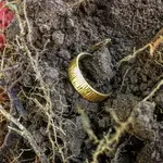 ring.webp