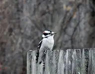 K1024_DSCN6947.webp