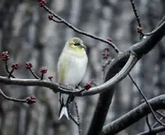 K1024_DSCN6971.webp