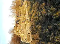 20171121_160042.webp 20171121_160042.webp